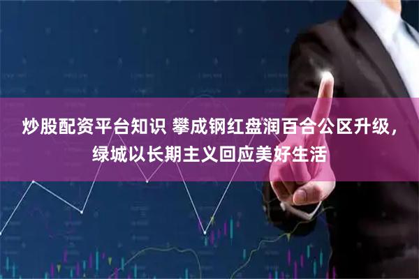 炒股配资平台知识 攀成钢红盘润百合公区升级,绿城以长期主义回应美好生活